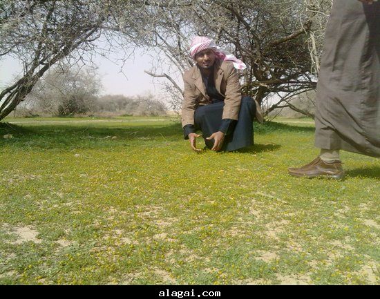 اذان الفجر شعبة نصاب